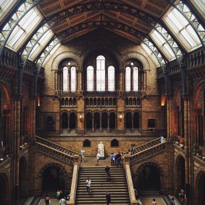 Natural History Museum by @milkydrop