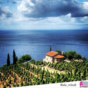 foto scelta per #italia365 – Isola d'Elba - @ale_mika8
