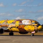 L'aereo dipinto dai gemelli, ph. Cesar Novaes, post su @recaovivo