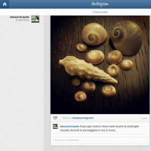 instagram feed on web